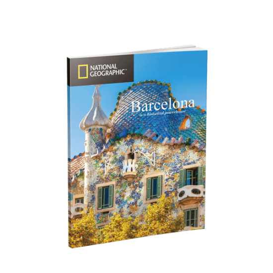 Puzzle 3D World Brands La Sagrada Familia (National Geographic)