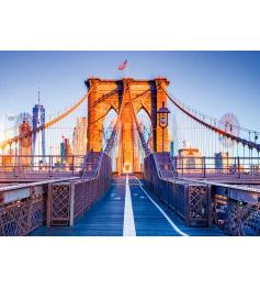 Puzzle Alipson Brooklyn, Nueva York de 1000 Piezas