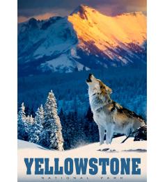 Puzzle Alipson Lobo de Yellowstone de 500 Piezas