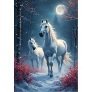 Puzzle Alipson Paseo Nocturno de 1000 Piezas