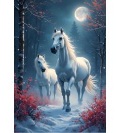 Puzzle Alipson Paseo Nocturno de 1000 Piezas