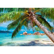 Puzzle Alipson Playa Tropical de 1000 Piezas