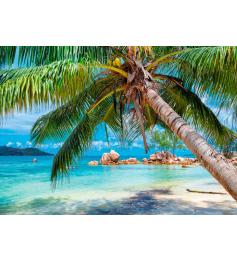 Puzzle Alipson Playa Tropical de 1000 Piezas