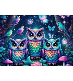 Puzzle Alipson Puedo Verte de 1000 Piezas