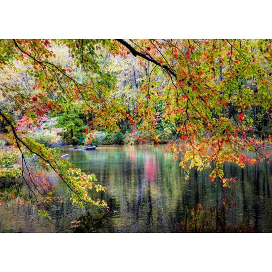 Puzzle Alipson Ramas a la Orilla del Río de 1000 Piezas Puzzle Alipson Ramas a la Orilla del Río de 1000 Piezas