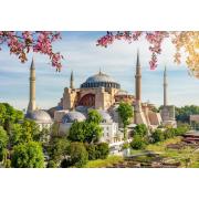 Puzzle Alipson Santa Sofía, Estambul de 1000 Piezas