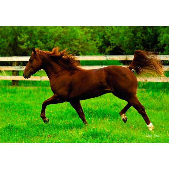 Puzzle Anatolian Al Trote en Campo Abierto de 260 Piezas