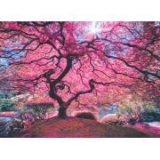 Puzzle Anatolian Arbol Rosa de 1000 Piezas