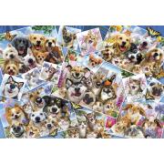 Puzzle Anatolian Collage de Selfies de Mascotas de 2000 Piezas