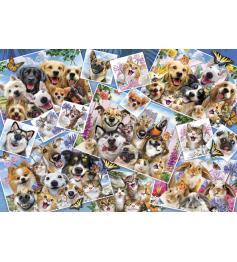 Puzzle Anatolian Collage de Selfies de Mascotas de 2000 Piezas