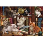 Puzzle Anatolian Gatitos en la Estantería de 500 Piezas