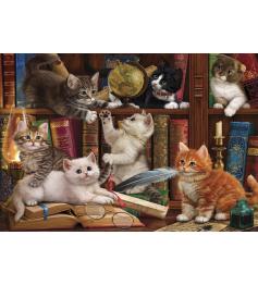 Puzzle Anatolian Gatitos en la Estantería de 500 Piezas
