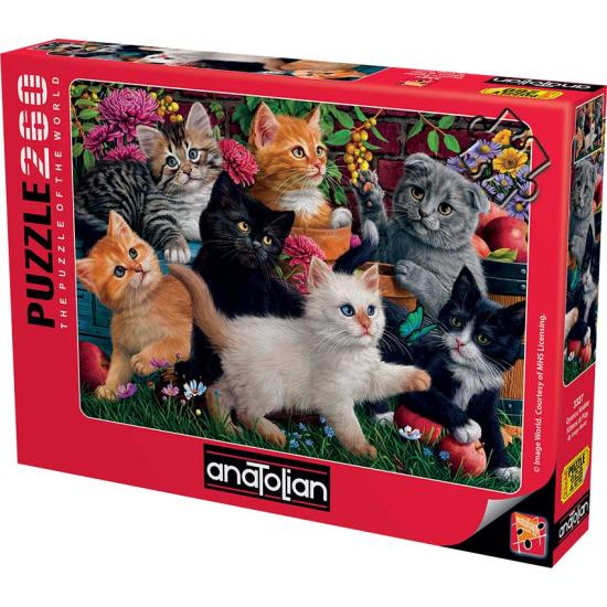 Puzzle Anatolian Gatitos Jugando de 260 Piezas Puzzle Anatolian Gatitos Jugando de 260 Piezas