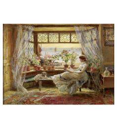 Puzzle Anatolian Lectura junto a la Ventana 1000 Piezas