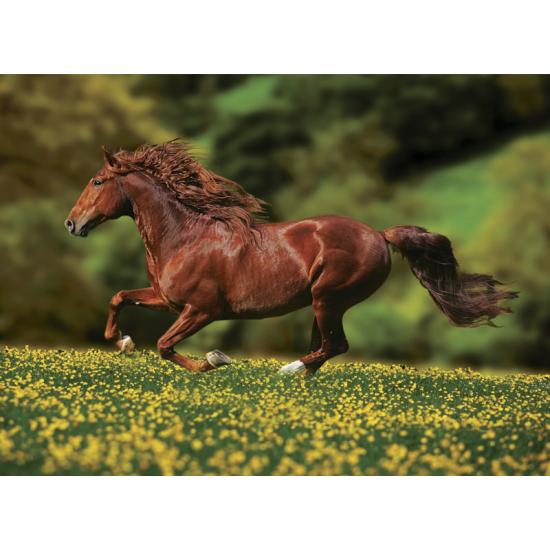 Puzzle Anatolian Libertad de 1000 Piezas Puzzle Anatolian Libertad de 1000 Piezas