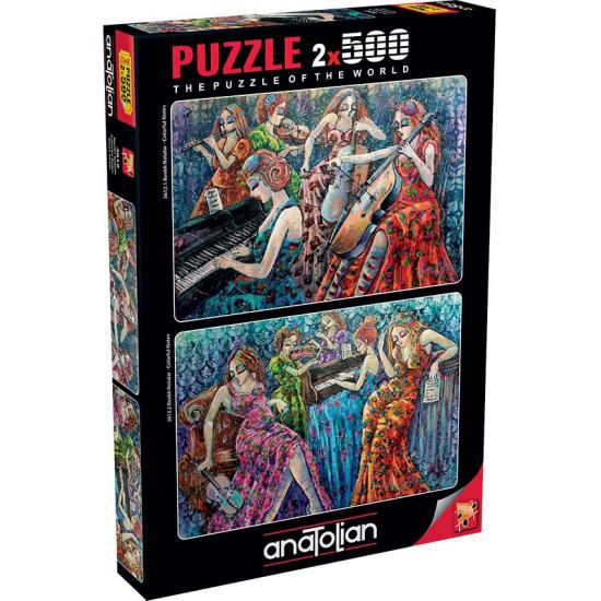 Puzzle Anatolian Notas Llenas de Color 2 x 500 Piezas