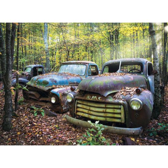 Puzzle Anatolian Restos del Pasado de 1000 Piezas