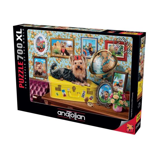 Puzzle Anatolian Yorkshire Terrier XXL de 700 Piezas