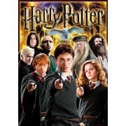 Puzzle Aquarius Collage Harry Potter de 1000 Piezas