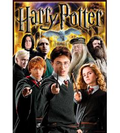 Puzzle Aquarius Collage Harry Potter de 1000 Piezas