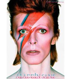 Puzzle Aquarius David Bowie Aladdin Sane de 500 Piezas