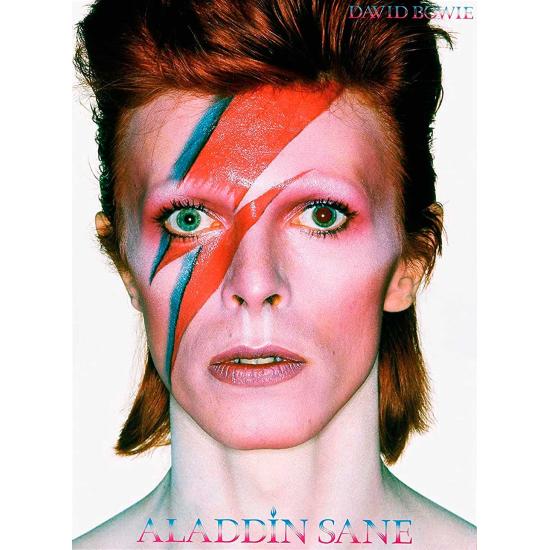 Puzzle Aquarius David Bowie Aladdin Sane de 500 Piezas Puzzle Aquarius David Bowie Aladdin Sane de 500 Piezas