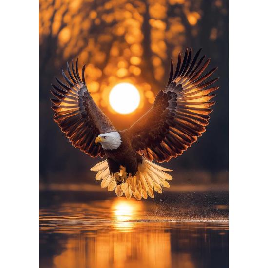 Puzzle Art Puzzle Alas del Sol de 1000 Piezas