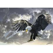 Puzzle Art Puzzle Balck and While, Aguila Americana 500 Piezas