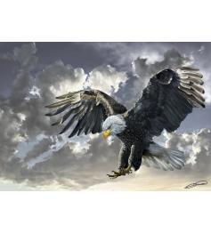 Puzzle Art Puzzle Balck and While, Aguila Americana 500 Piezas