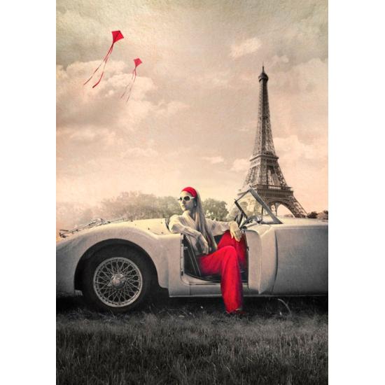 Puzzle Art Puzzle Nostalgia en París 1000 Piezas