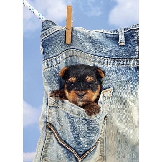 Puzzle Art Puzzle Ya Estoy Seco de 500 Piezas