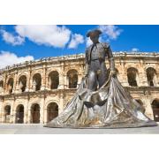 Puzzle Bluebird Arena de Nimes de 1000 Pzs