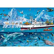 Puzzle Bluebird Barco en el Ártico de 1500 Piezas