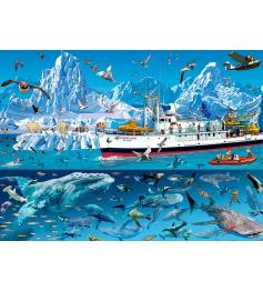 Puzzle Bluebird Barco en el Ártico de 1500 Piezas
