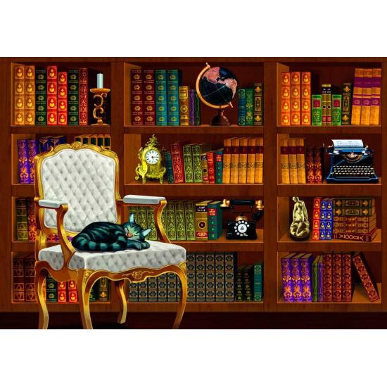 Puzzle Bluebird Biblioteca Vintage de 1000 Piezas