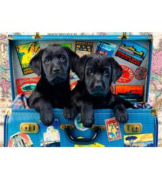 Puzzle Bluebird Cachorros Negros Viajeros de 1000 Piezas