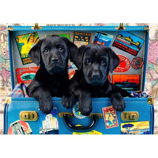 Puzzle Bluebird Cachorros Negros Viajeros de 1000 Piezas Puzzle Bluebird Cachorros Negros Viajeros de 1000 Piezas