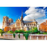 Puzzle Bluebird Catedral de Notre-Dame de Paris de 1000 Piezas