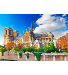 Puzzle Bluebird Catedral de Notre-Dame de Paris de 2000 Piezas