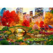 Puzzle Bluebird Central Park, Nueva York de 1000 Piezas