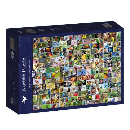 Puzzle Bluebird Collage de Aves del Mundo de 4000 Piezas Puzzle Bluebird Collage de Aves del Mundo de 4000 Piezas