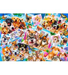 Puzzle Bluebird Collage de Selfies de Mascotas de 1000 Piezas