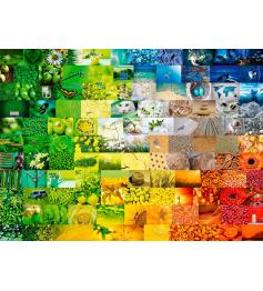 Puzzle Bluebird Colores Maravillosos de 3000 Piezas