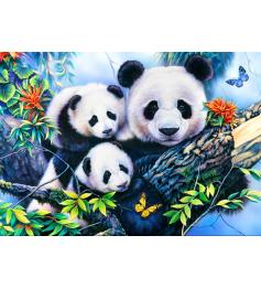 Puzzle Bluebird Familia de Pandas de 1000 Piezas