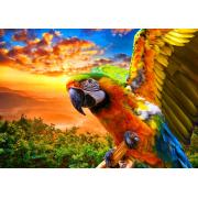 Puzzle Bluebird Guacamayo de 1000 Piezas