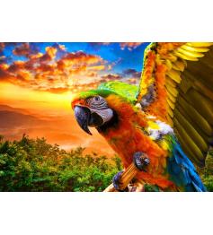Puzzle Bluebird Guacamayo de 1000 Piezas