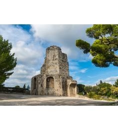 Puzzle Bluebird La Torre Magna, Nimes de 1000 Piezas