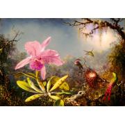 Puzzle Bluebird Orquídea Cattleya y Tres Colibríes de 1000 Piez