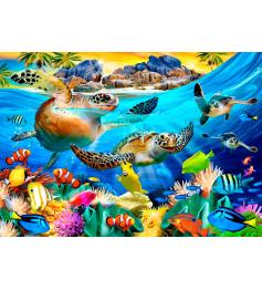 Puzzle Bluebird Playa Tortuga de 1000 Piezas