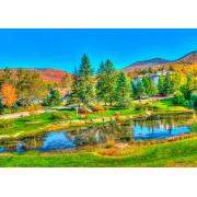 Puzzle Bluebird Stowe, Vermont, Estados Unidos de 1000 Piezas